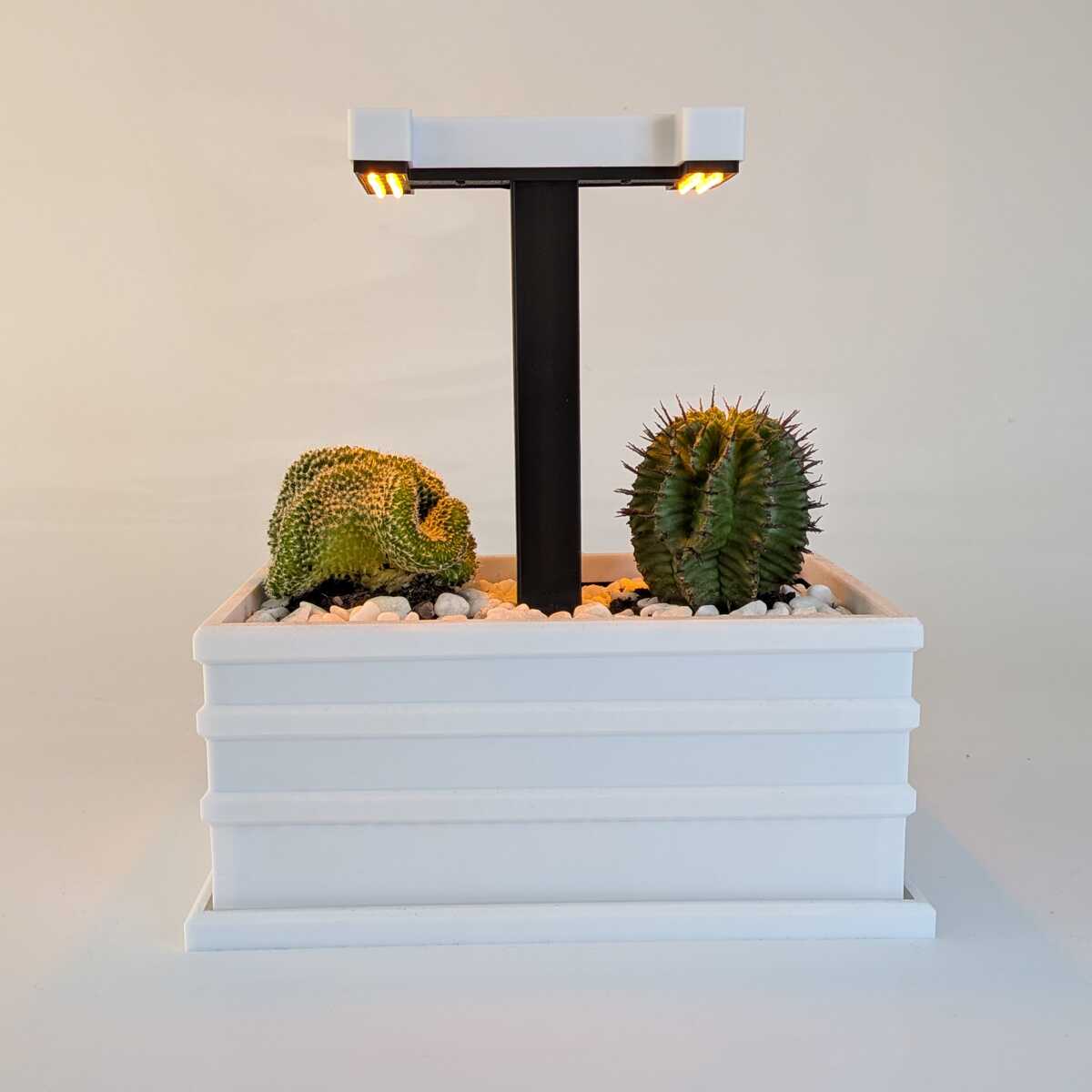 Urban Zen Garden